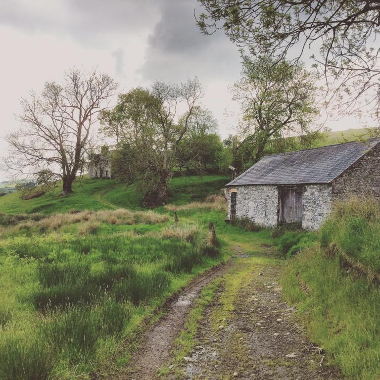 Maes Y Gwaelod Bed & Breakfast Llanwrtyd Wells Bagian luar foto