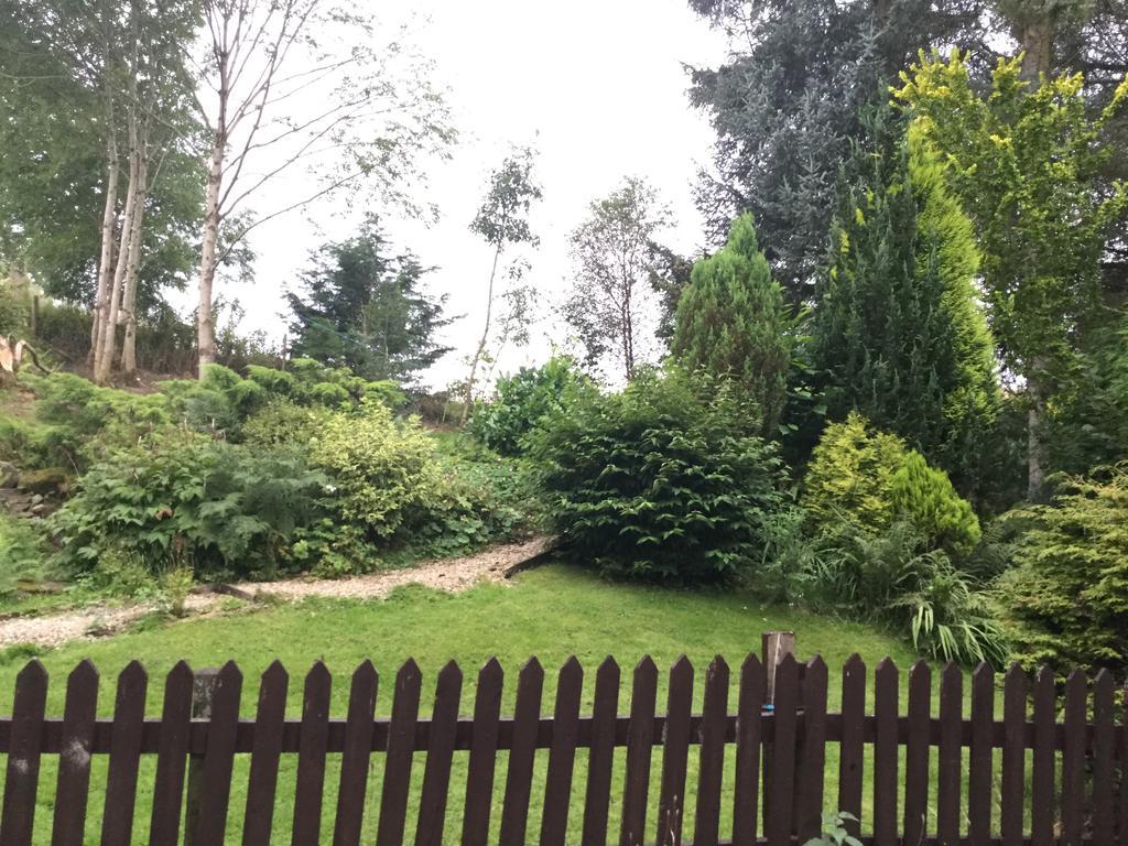 Maes Y Gwaelod Bed & Breakfast Llanwrtyd Wells Bagian luar foto